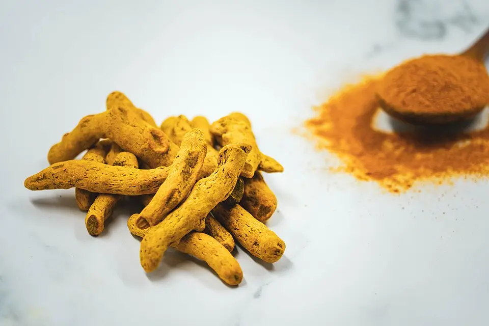 Racines et poudre de curcuma