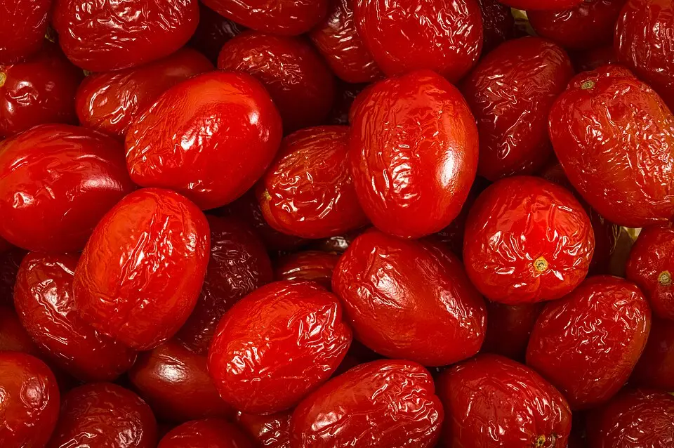 Baies de goji séchées en gros plan