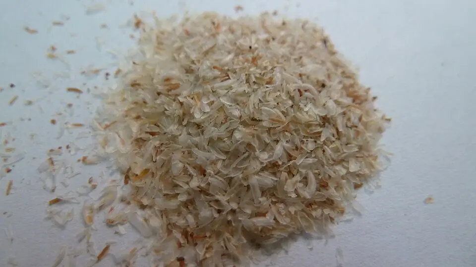 Téguments de psyllium en vrac